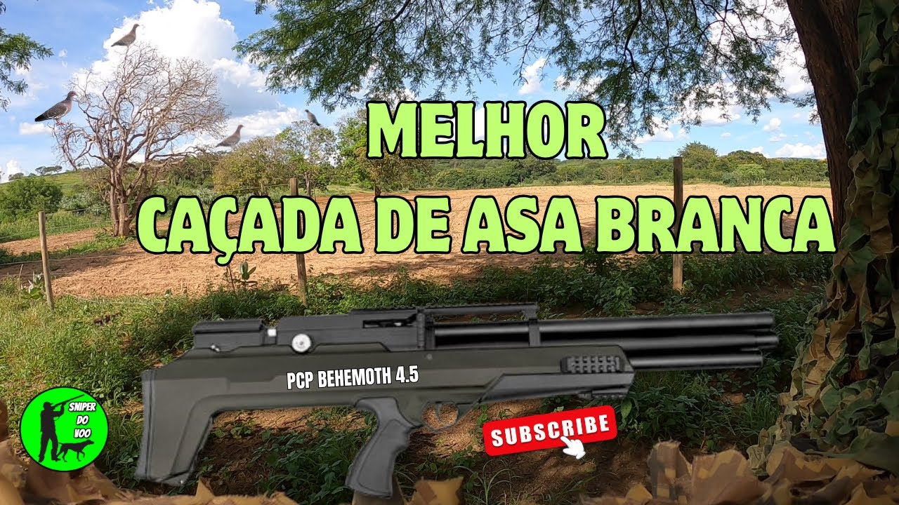 MELHOR CAÇADA DE ASA BRANCA DE 2026 PCP BEHEMOTH 4.5