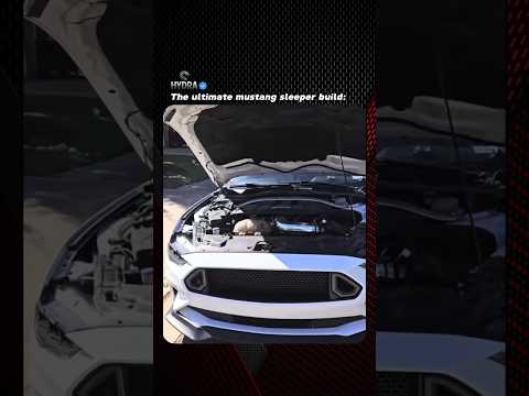 the ultimate mustang sleeper build: #mustang #cars #automobile #funny