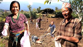 Very Simple Farming | Village Simple Lifestyle