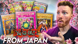 Revealing Vintage Yugioh Cards and EPIC Collectible Items from Japan!
