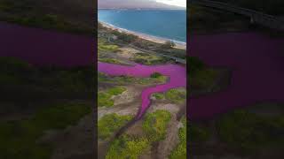 #shortvideo #beautiful #travel #море #nature