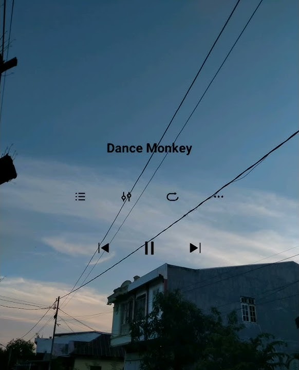 Lagu story' wa 'DANCE MONKEY'