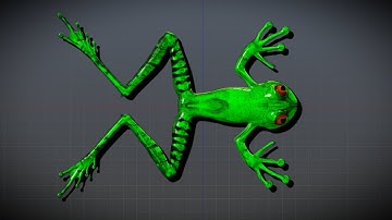 Part 1. 3D Modeling Frog in Blender. Time-lapse