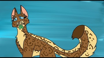 [Part 19] Message Man MAP