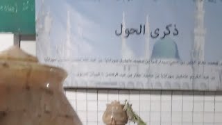 Lagu sholawat fatih nikmat dan syahdu di maqbarah Syeikh Umar Baidlawy