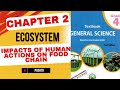class 4 G. Science ch# 2 | Impacts of Human Actions on Food Chain in an ecosystem | Ecosystem |