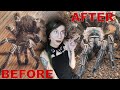 SHOCKING Molt Transformation! Her TWISTED Legs Repaired!.. Eevee the E campestratus Update