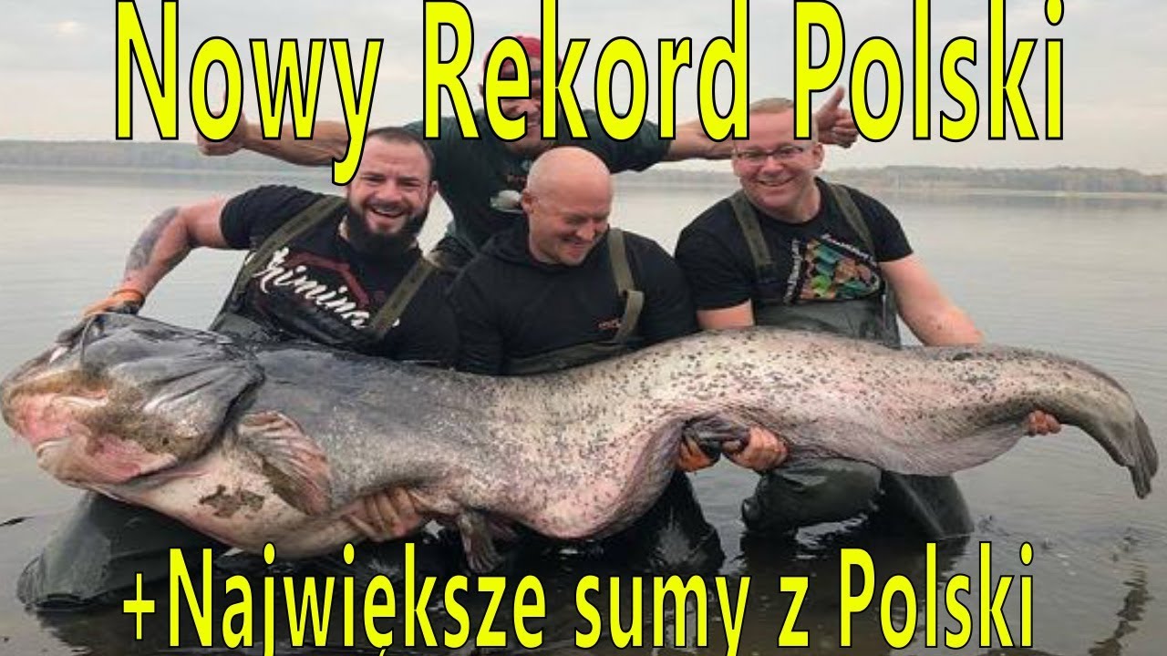 Nowy rekord Polski   sum 260 cm i 102 kg  najwiksze sumy zowione w Polsce