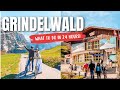 EXPLORING GRINDELWALD-FIRST : A Day of Thrills and Adventure! Cliff Walk, First Flyer, Trotti Bike