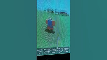 Thumbnail of bro lied