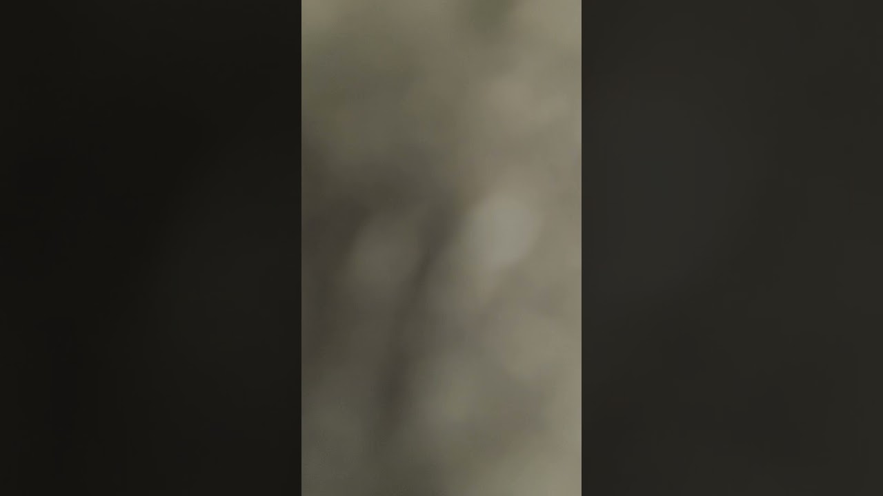 audio Rip great wolf lodge clock tower show