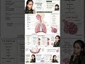 Respiratory system explained in manga style !