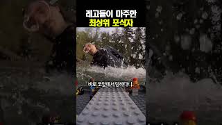 Vuck 대표 영상 썸네일
