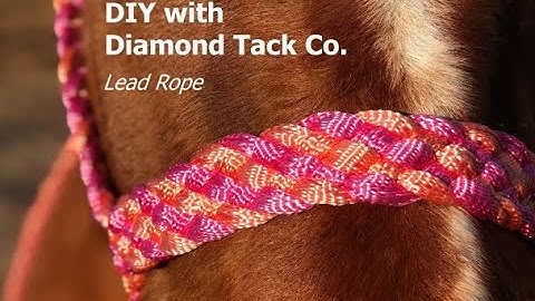 How To Braid a Detachable Mule Tape Lead Rope
