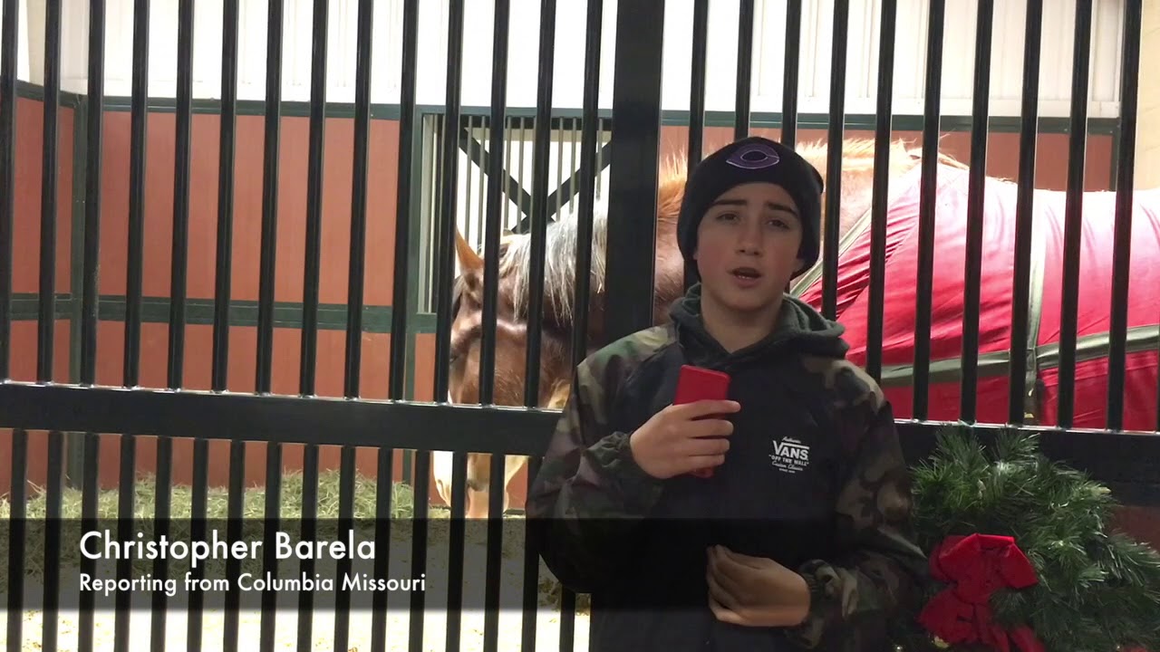 Clydesdale Horses in Columbia MO YouTube