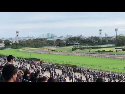 フィオリキアリ メイクデビュー東京 新馬戦 東京競馬場 欅〜ゴール