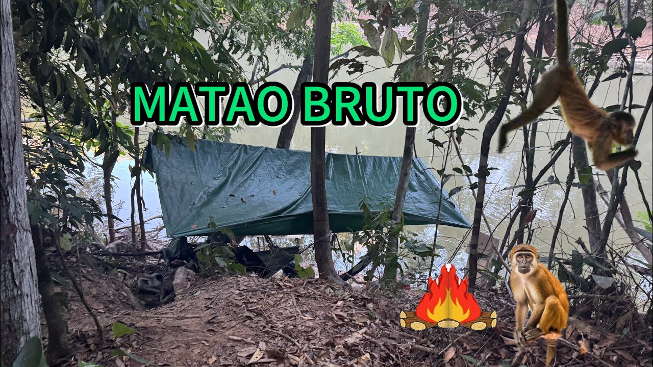 🐒🏕️AVENTURA DENTRO DA SELVA AMAZÔNICA COM PRESENÇA DE ANIMAIS E MUITO PEIXES