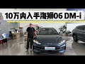 海豹06 DM i旅行版来了!10万级预算入手,小众瓦罐调性平权!