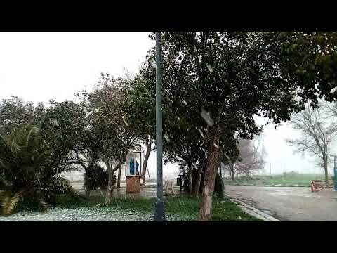 Snow Fall Short Video Clip