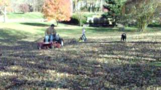 Leaf Sledding at the Bakers