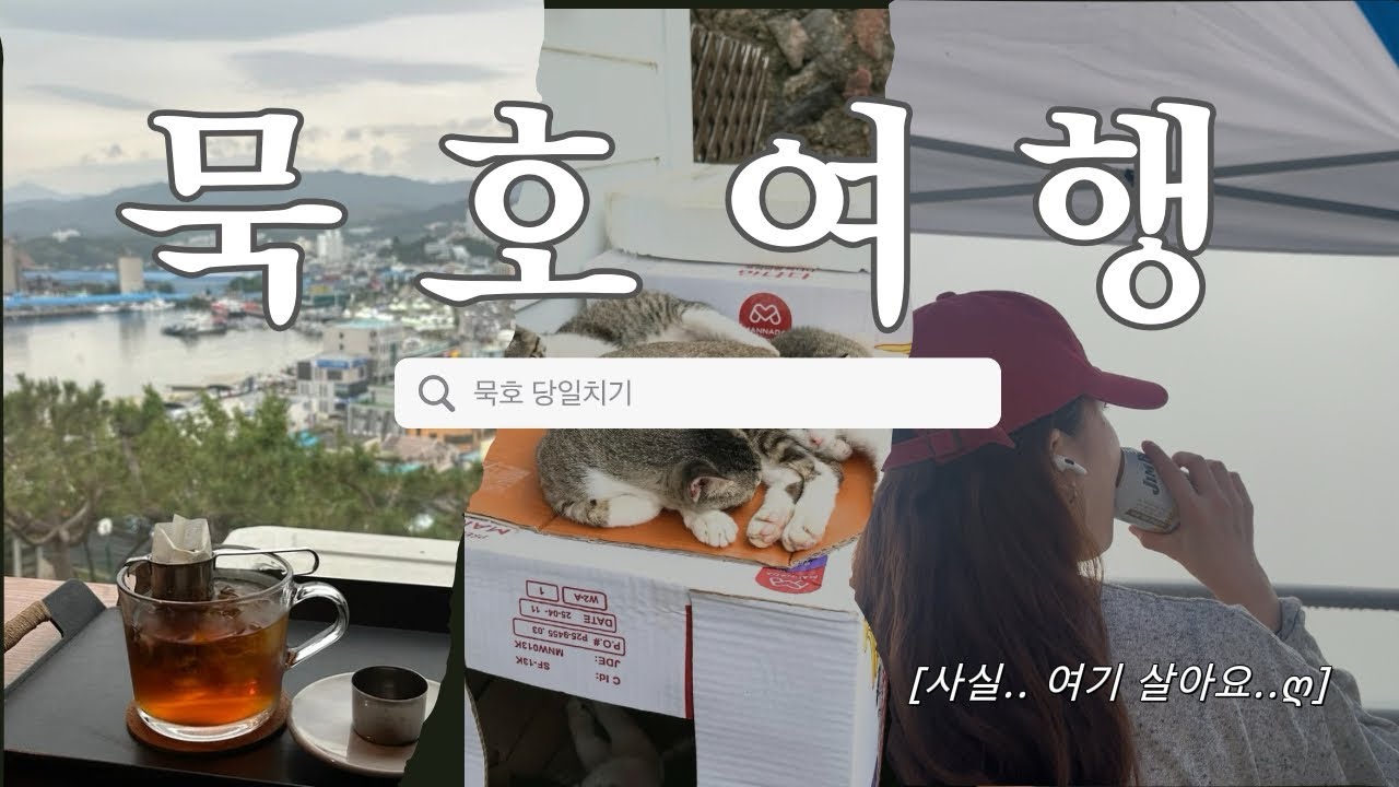 [나혼자묵호] 묵호가 혼행 핫플이래🐙•노상 한잔까지🍺/ 현지인맛집,묵호회센터,소품샵,논골담길,카페투어,혼술