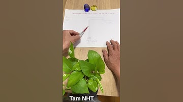 Mẹo hay sử dụng công tắc quả nhót điều khiển thiết bị quạt, bóng đèn trên cao #Tam NHT #Shorts