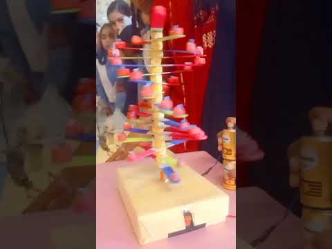 working model of