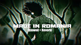 made in romania (Slowed   Reverb)