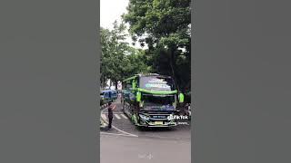 Basuri Cinderella Bus Nabilla #basuri #basuriv3 #buspariwisata
