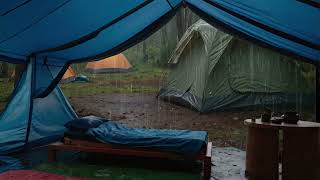 Thunderstorm Rainy Camping ASMR: Restful Sleep Experience