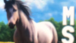 First Horse riding vid (VERY CRAZY) 🐴