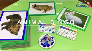 ANIMAL BINGO | Classroom Activity- Ideas | Teaching Animals - Game for Kids | Name the Animal - Game screenshot 4