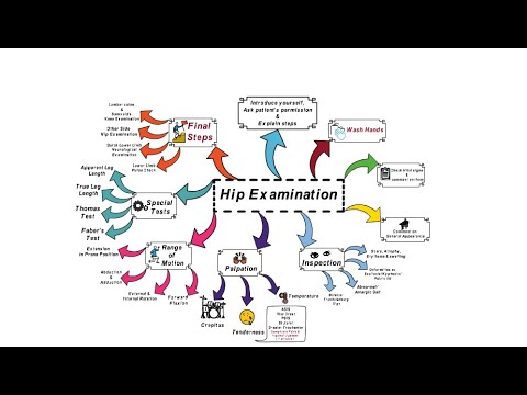 Hip Examination -