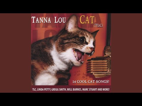 在 YouTube 上觀看「Scratch Scratch」 在 YouTube 上觀看「Scratch Scratch」