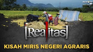 REALITAS - Kisah Miris Negeri Agraris