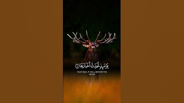 اذا زلزلت الارض زلزالها   #قرآن #تلاوة_خاشعة #اكسبلور #viralvideo
