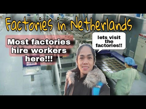 FACTORIES IN NETHERLANDS | This is the location and how the factories look like!! They hire here