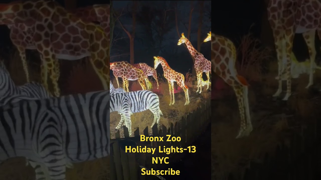 Bronx Zoo Holiday  Lights-13 |NYC 