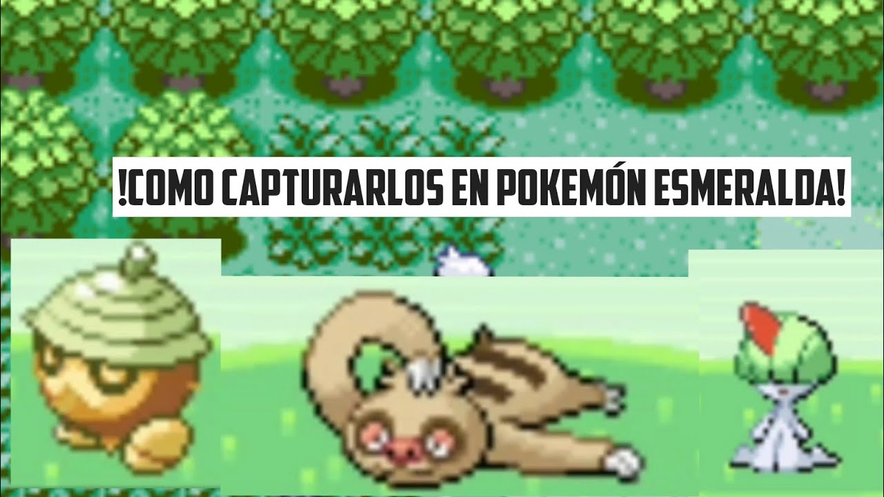 cómo capturar a slakoth, seedot y ralts en pokemón esmeralda YouTube