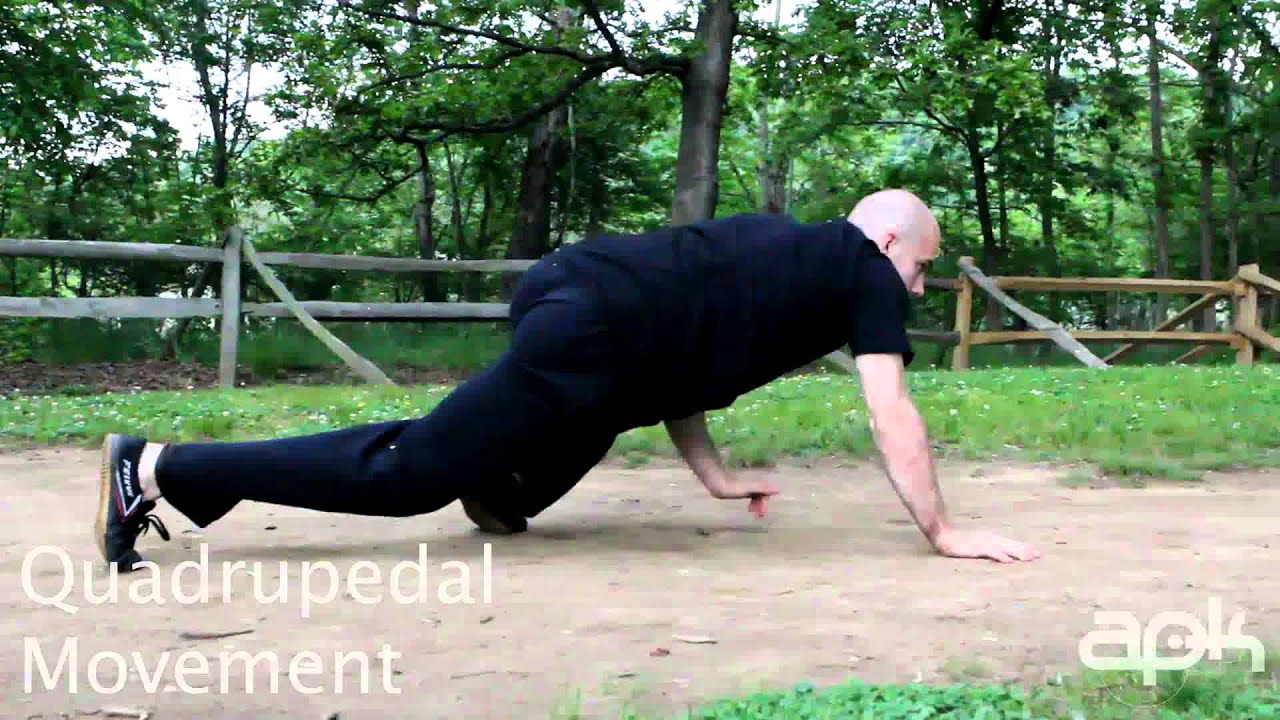 Quadrupedal Movement Parkour Training and Conditioning YouTube