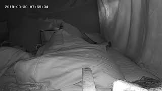 Entity caught on motion activated camera