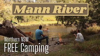 Northern NSW best free camp?