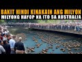 Bakit hindi kinakain ang milyon milyong hayop lalo na ang rabbit sa australia