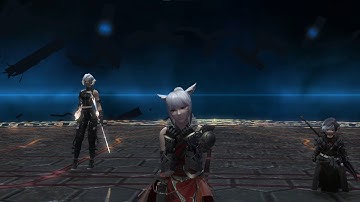 FFXIV uwu mnk Pov 6.5 LPDU First Clear