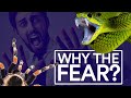 Why are we so afraid of snakes and spiders? A psychologist answers