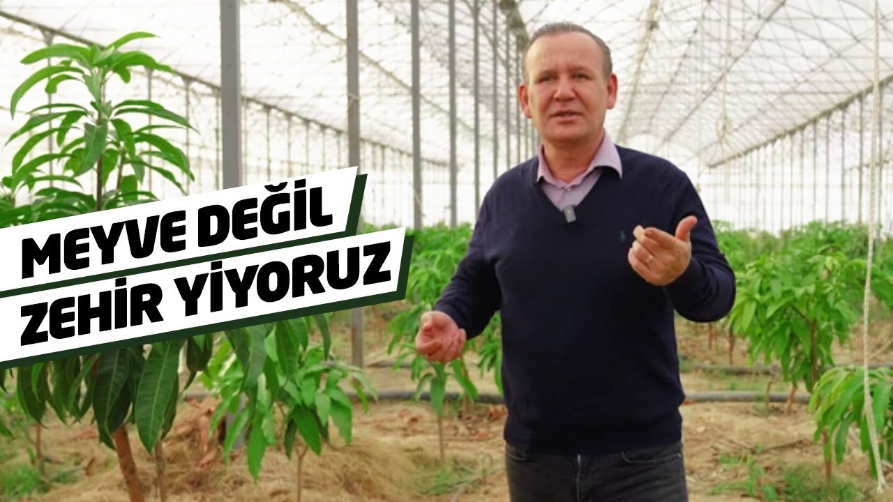 Pestisit Bizi Öldürüyor | Mustafa Ezici Kimdir?