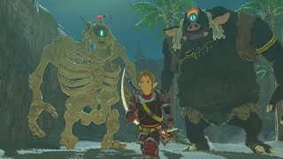 Black Hinox Vs Stalnox Vs Link - Zelda Breath of the Wild