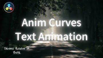 Advanced Part2 - Anim Curves を使って可変長のテキストアニメーションを作る方法. / DaVinci Resolve ダビンチリゾルブ 17 Fusion
