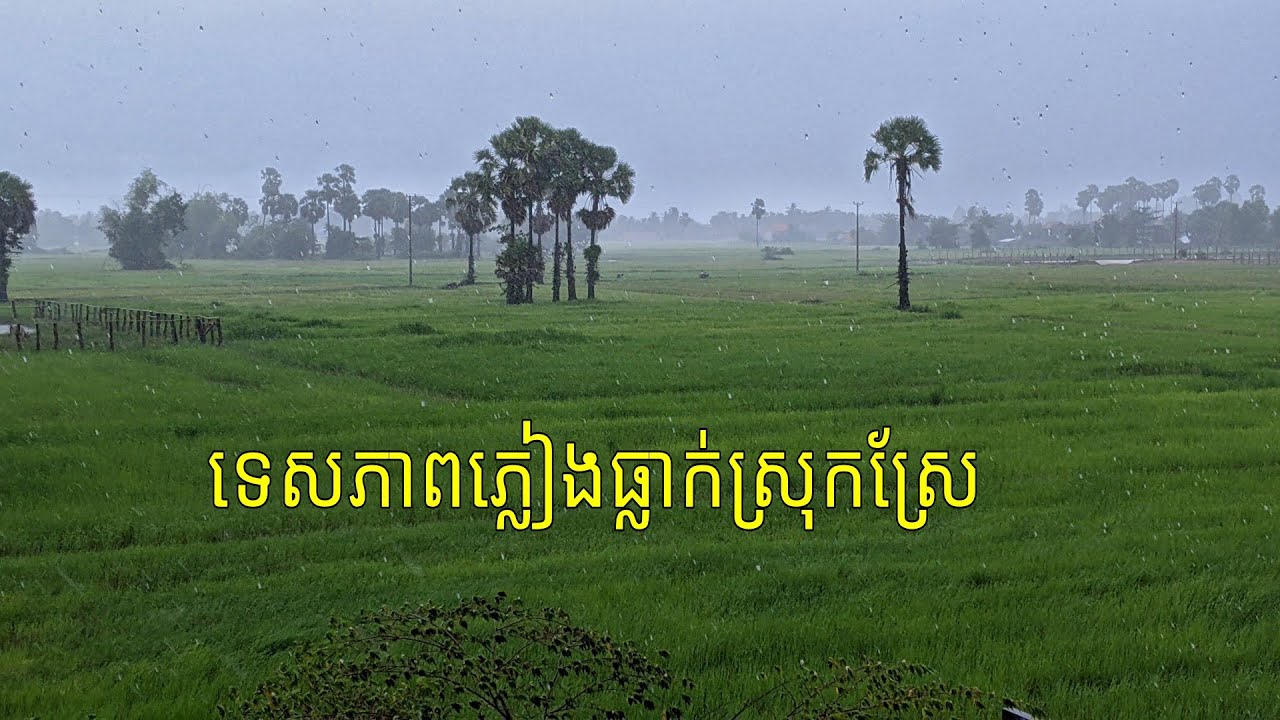 Raining season in countryside Cambodia September 4, 2022 - YouTube
