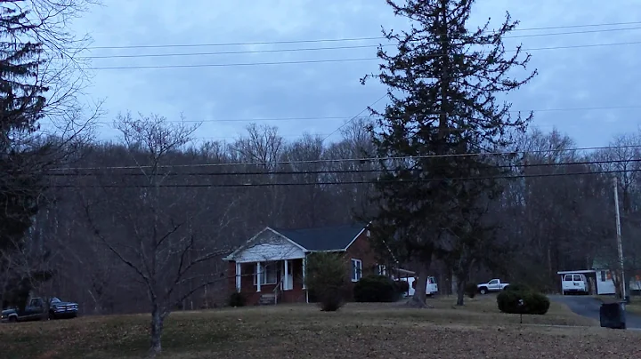 Downing a tree leaning the wrong way
